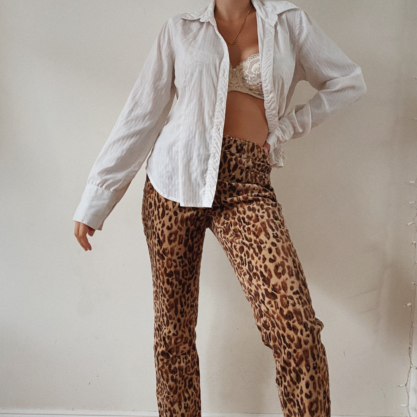 Low Waist Animal Print Pants
