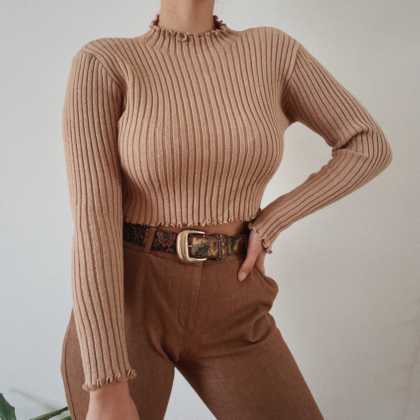 Ribbed Light Brown Crop Sweater