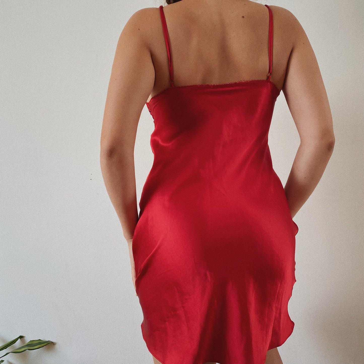 Red Sexy Slip Dress Embroidered Bustier
