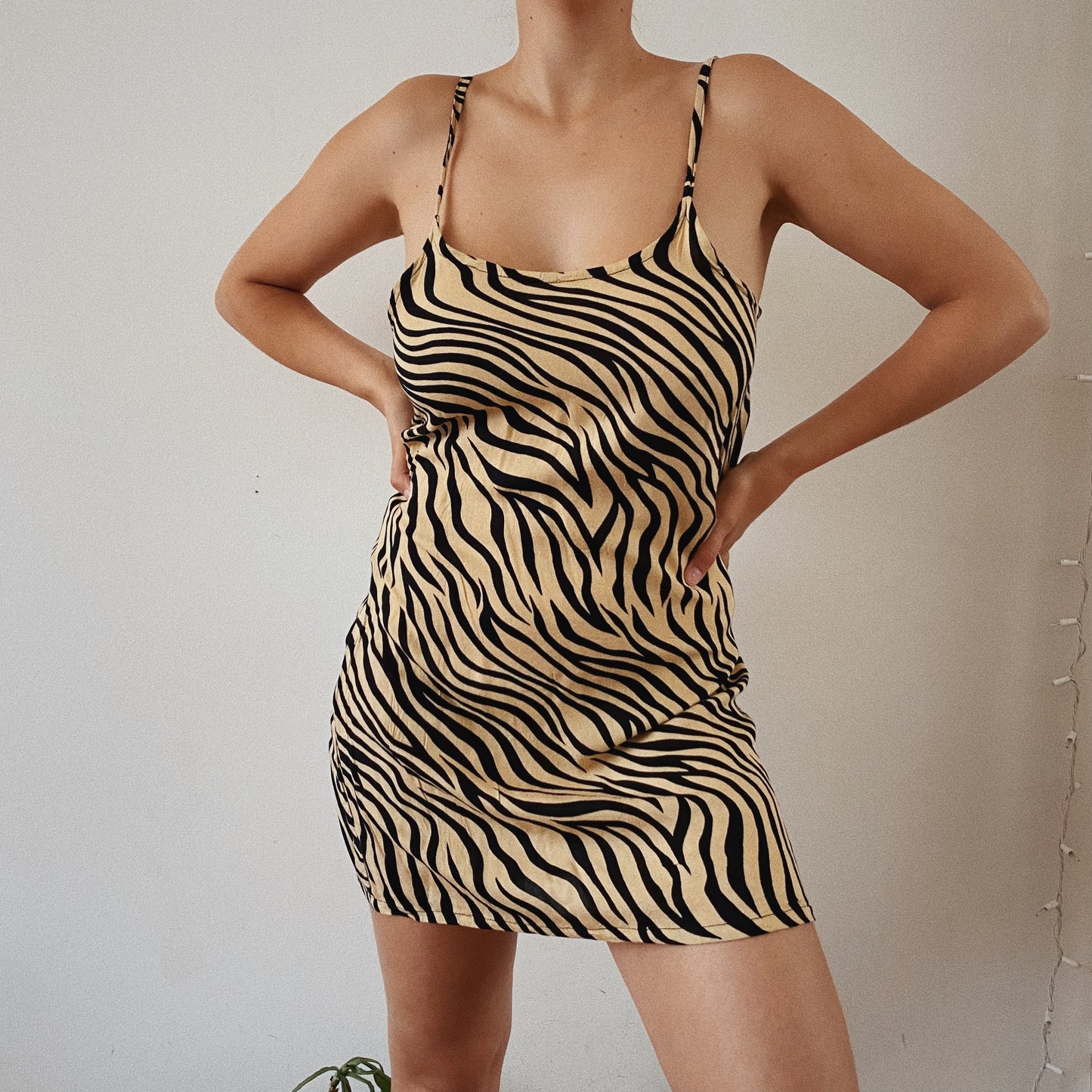 Animal Print Mini Summer Dress