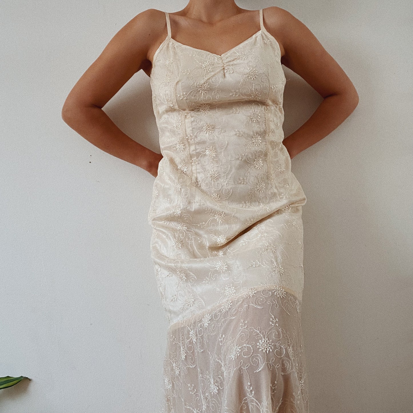 Cream Lace Vintage Gown