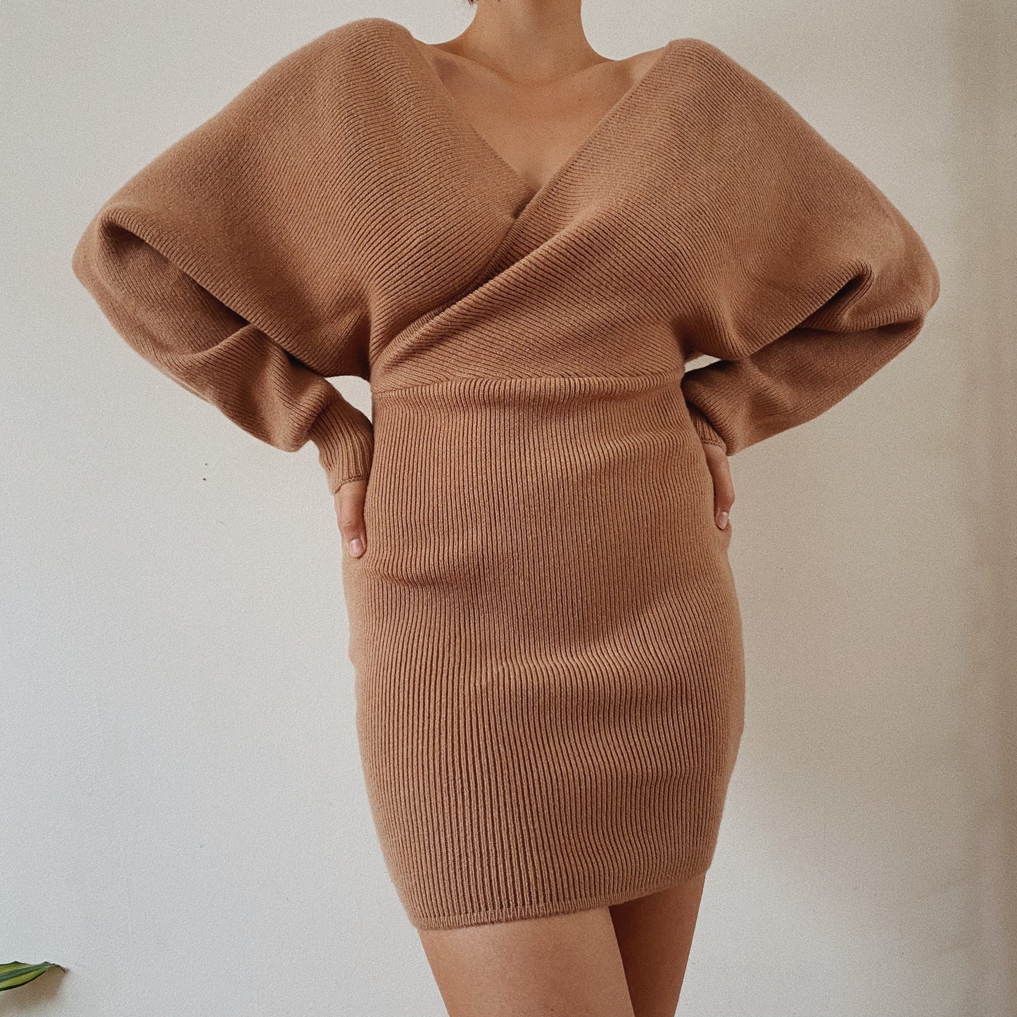 Belted Nude Ribbed Knit Dress