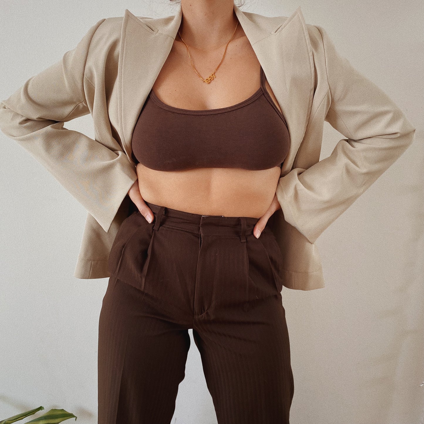 Chic Vintage Beige Blazer